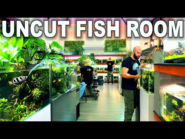 1000's of FISH & UNCUT FEEDING Fish Room Tour