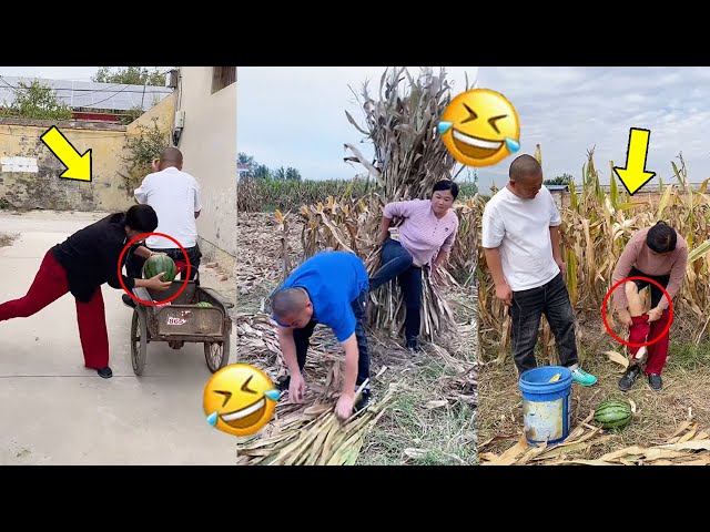 Who stole my melon?😺😍Best Funny Videos 2023, Chinese Funny clips daily Part2#funnyvideo#funny#tiktok