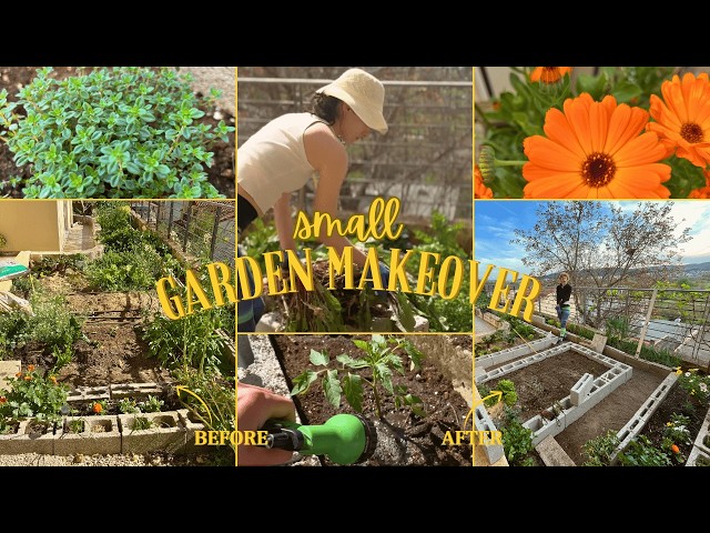 Small Garden Makeover | DIY Raised Beds + Fresh Planting!