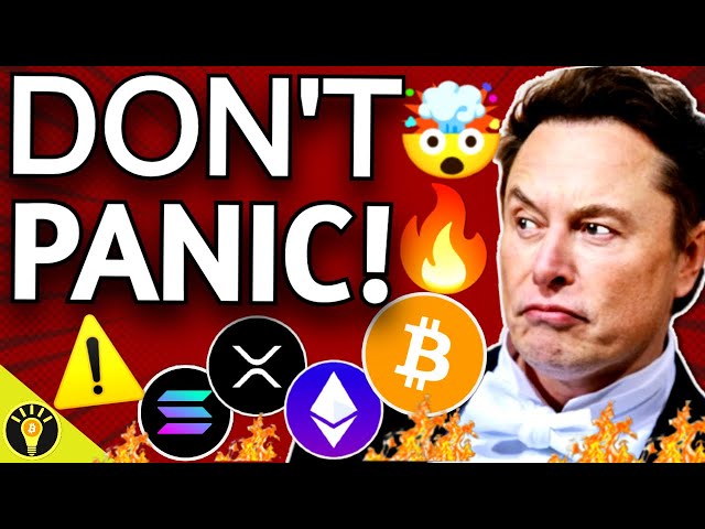 🚨 BITCOIN DUMPS AGAIN! & ELON MUSK HAS BIG PLANS FOR CRYPTO!