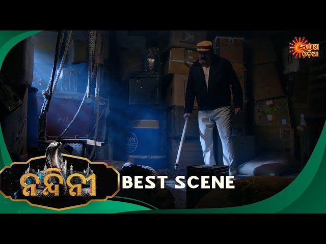 Nandini - Episode 162 | Best scene | Odia Naagin show | Sun Odia