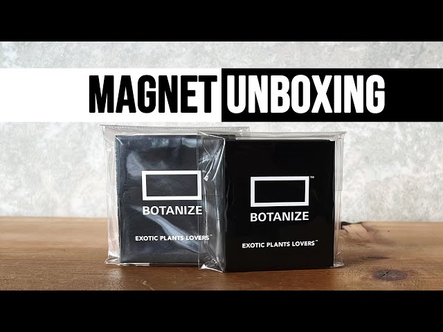 보타나이즈 마그넷 언박싱 - Unboxing Botanize's Magnet