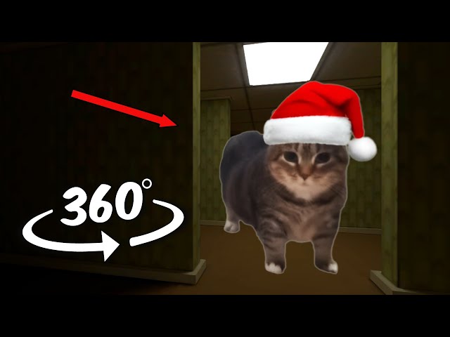 OIIAOIIA Cat Sings But it's 360 video