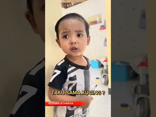 ATHARVA TAKUT SAMA KUCING ?