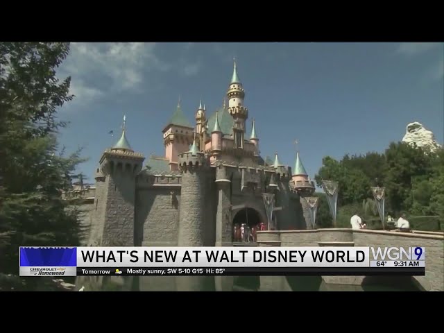 What's New at Walt Disney World