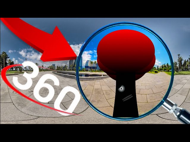 Find me | Mr Tree - Sprunki Incredibox | Finding Challenge 360º VR Video  | World-360