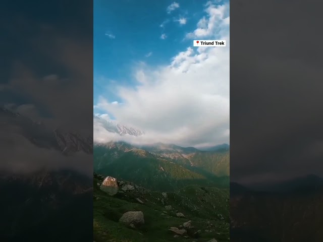 Beautiful view of triund trek #shorts #youtubeshorts