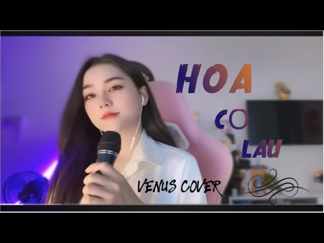 HOA CỎ LAU | PHONG MAX - COVER VENUS VERSION LOFI