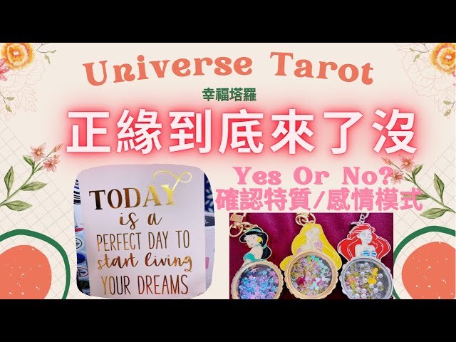 🌷正緣到底來了沒🌷Yes or No ? 請宇宙天使指引/確認正緣對象特質&感情互動模式/無時間限制/不限性別 #塔羅  #tarot #占卜 #下一段戀情 #脫單 #戀愛運 #桃花