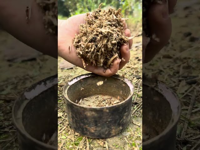 Mother teaches daughter how to make candles #hacks #camping #outdoorsurvival