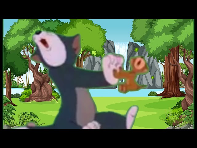 Tom and jerry ||Cartoonish|| kids tv