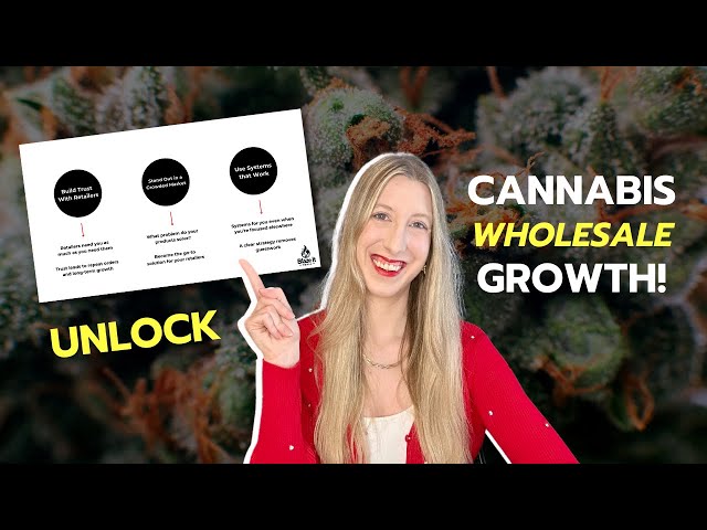 How Cannabis Wholesale Can Grow Your Brand