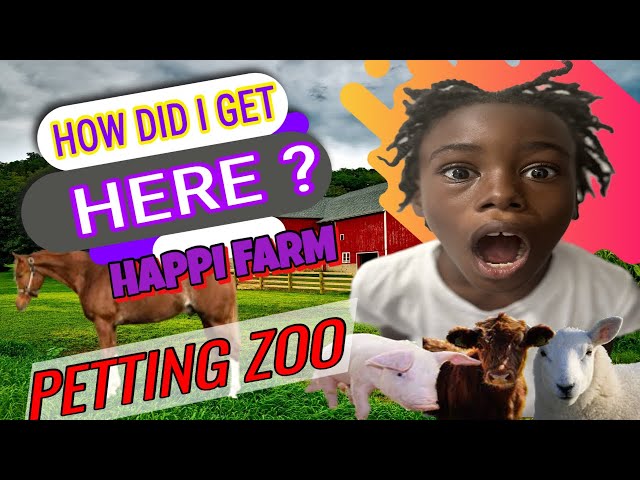 How Did I Get Here Happi Farm Petting Zoo