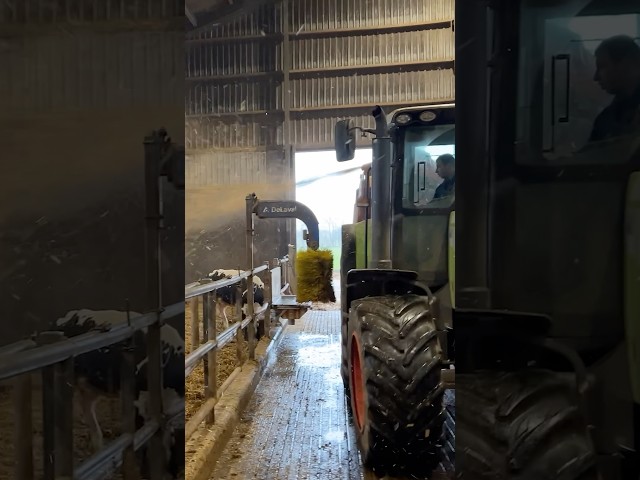 🚜 Agricultural Machines at Work – Tractors Spread Straw for Bedding for Cows 🐄