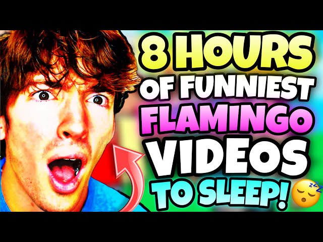 *8 HOURS* OF “FUNNIEST” FLAMINGO TO FALL ASLEEP! (ROBLOX/MARATHON)