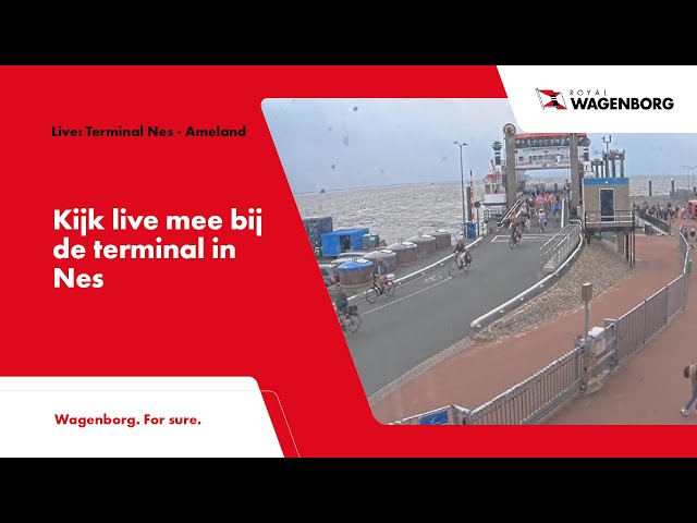 Live: Terminal Nes - Ameland