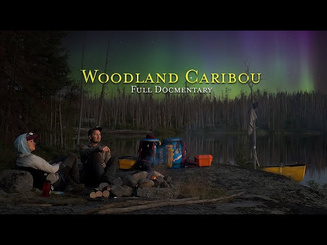 Wilderness Expedition: Exploring Woodland Caribou Provincial Park | Documentary