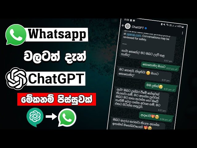 වට්සැප් වලටත් දැන් chatgpt | whatsapp chatgpt ai sinhala | chatgpt assignment sinhala