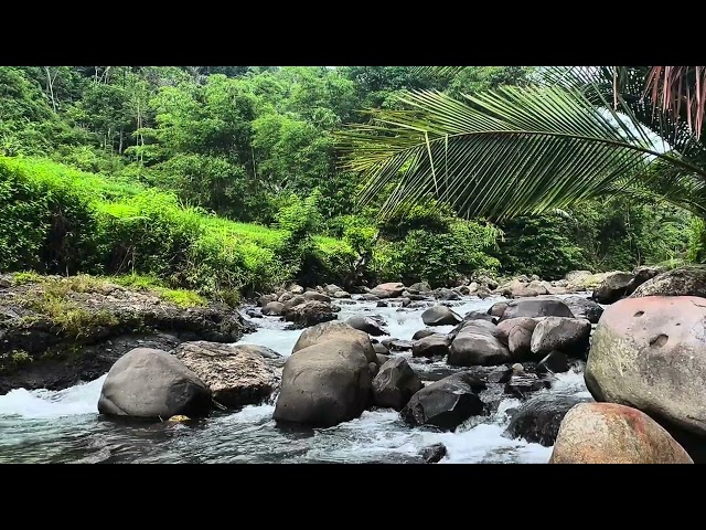 relaxing sounds of nature that bring peace and sound sleep #asmr