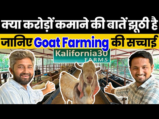 कैसे शुरू करें Goat Farming ?🤔💯Zero से Hero बनने का Business Plan🤑Indian Farmer