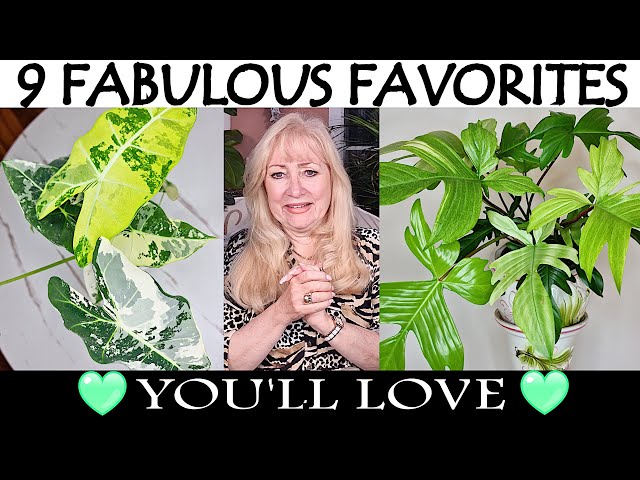 September FAB Favorite Plants! | 9 Houseplants You'll LOVE 💚 in your Home | 🌿 FAST Growth Updates