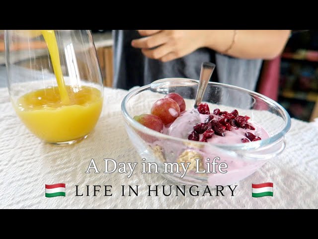 Vlog : Life in Hungary | Daily Life living in Europe | Productive Daily Routine