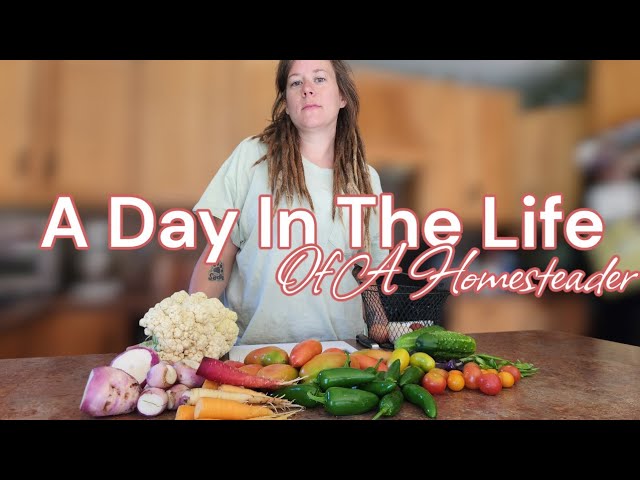 A Day In The Life Of A Homesteader | Preserving, Maintaining, Failing Forward | Can you do it?