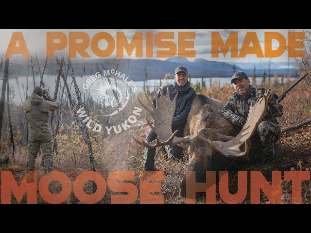 A Promise Made Yukon Moose, Part 2 of 3 I Greg McHale's Wild Yukon