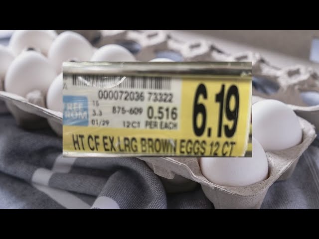 North Carolina lawmakers reveal plan to lower egg prices | 2 Wants to Know