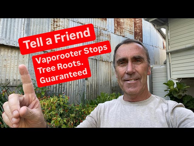 Tell a Friend about Vaporooter! Guaranteed to Stop Tree Roots in Drains