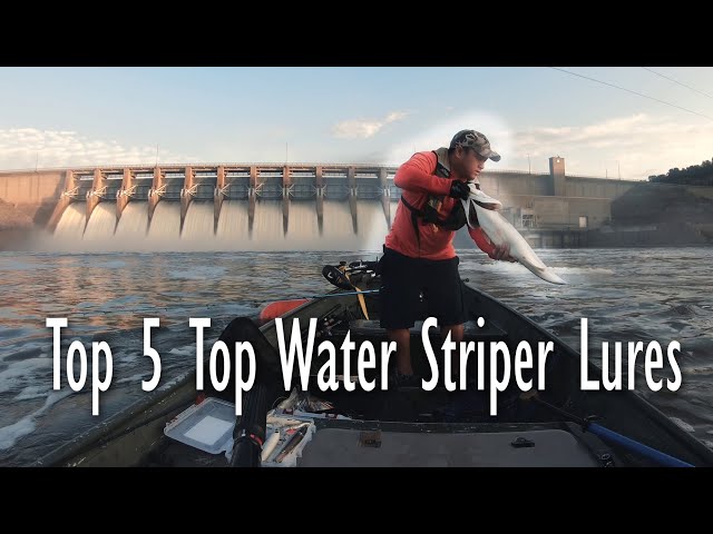 Striper Fishing | Top 5 Fall Top Water Striper Lures 2019 - OOW Outdoors