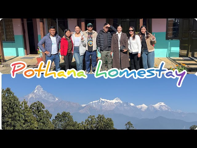 Dhampus to pothana hiking and homestay