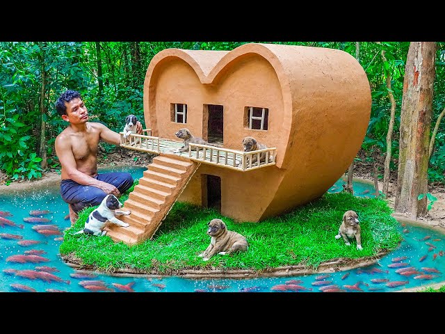 Dog rescue and build Loving Dog House - Build House for Puppies