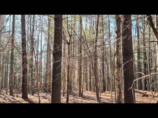 Checking out the whitney property ridgeline