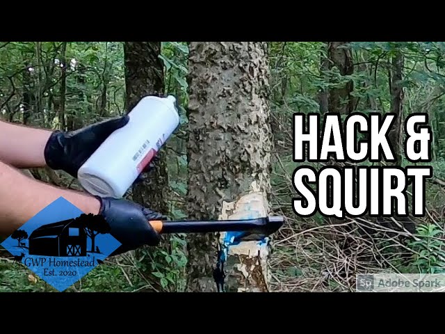 How to Use the Hack & Squirt Technique | Timber Stand Improvement