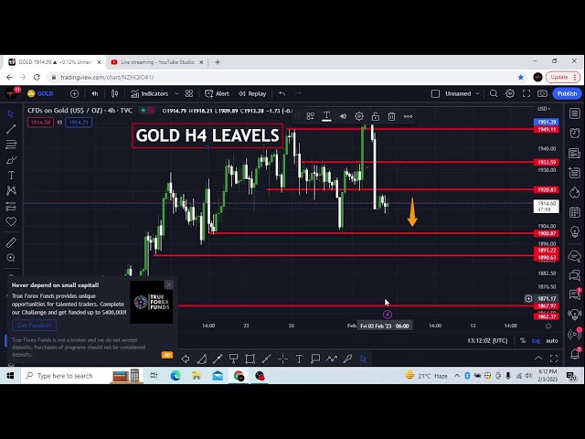 Forex For You Live Stream