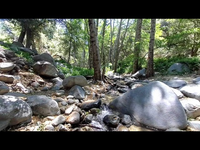 VR180 Time Capsule - Switzer Falls Trail June 2020