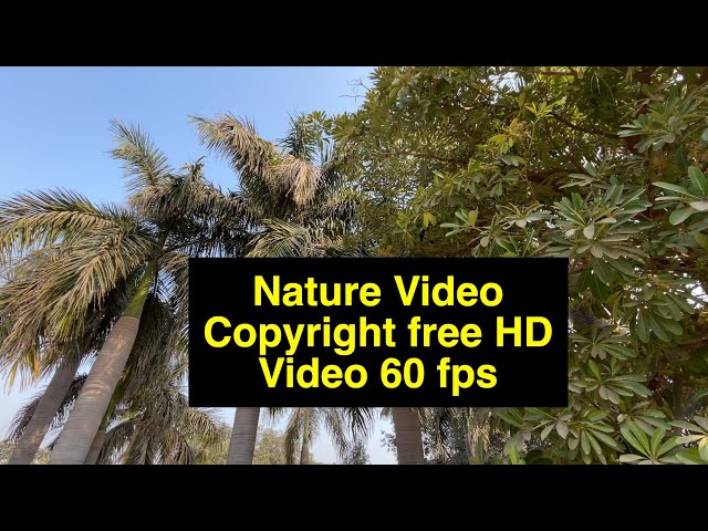 Nature HD Video Copyright free I 60 fps I A to Z Copyright free Video Content