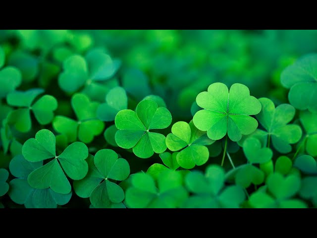 Happy Irish Music – Saint Patrick's Day | Celtic, Cheerful ☘️