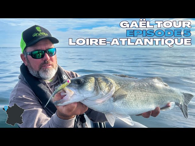 GAËL TOUR: TOPWATER and SOFT LURES with Étienne PICQUEL