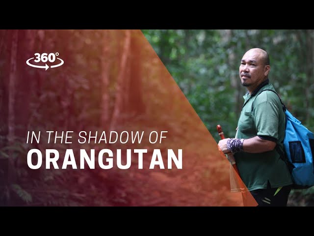 360 Video - In the Shadow of Orangutan