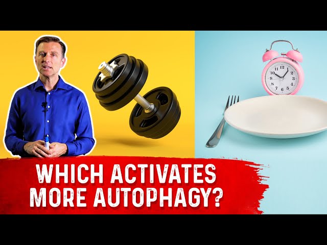 Autophagy: Exercise vs. Fasting