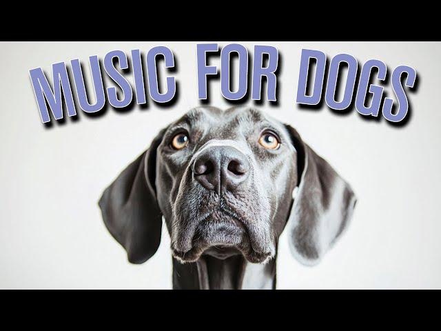 [NO ADS] Music for Dogs 🐕 Fast Acting Relaxation Tunes for Anxious Dogs