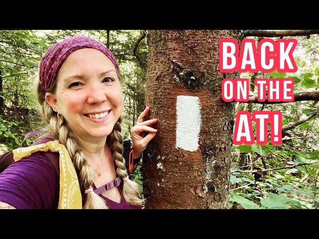 🍄 Mushroom hike on the Appalachian Trail  - Newfound Gap to Clingmans Dome