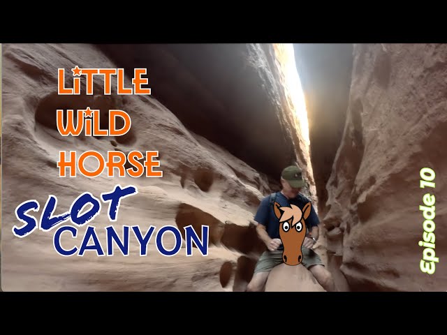 2024's Big Adventure :: Episode 10 Little Wild Horse