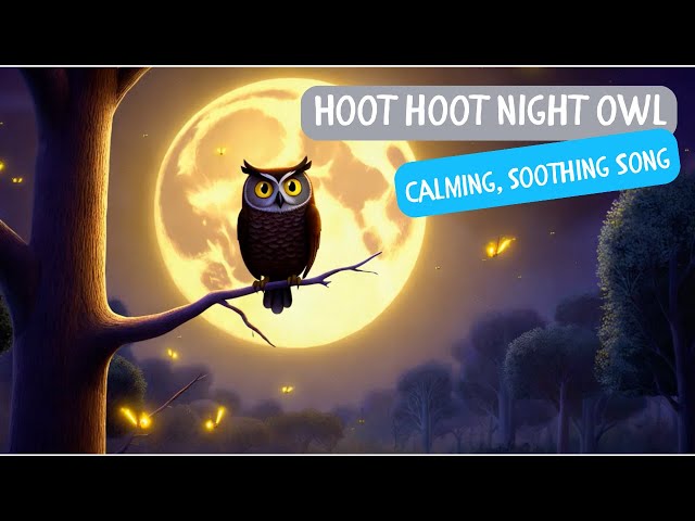 Hoot Hoot, Night Owl 🌙🦉 | Calming Bedtime Song for Kids | Soothing Lullaby