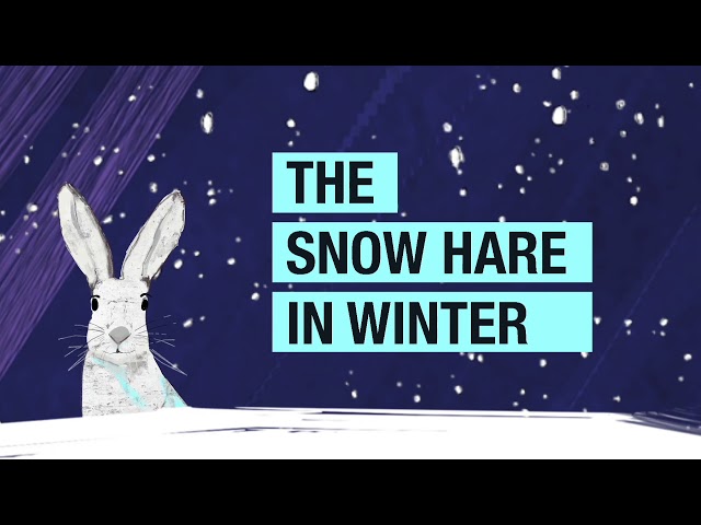 The Snow Hare in Winter Teaser Trailer