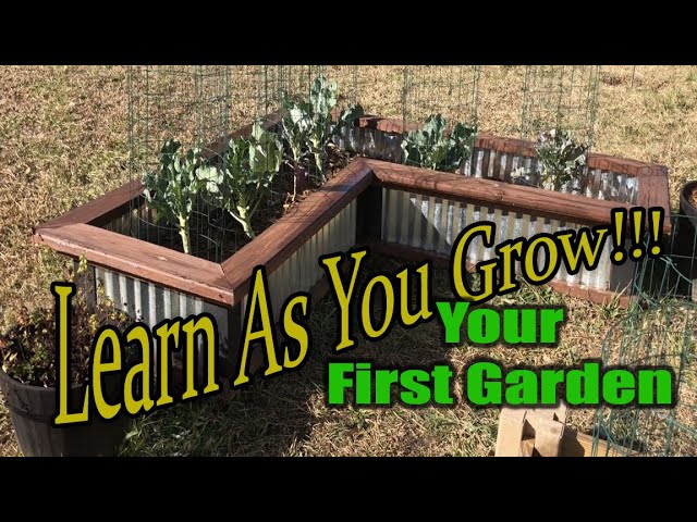 Raised Bed Garden. Learn as you grow