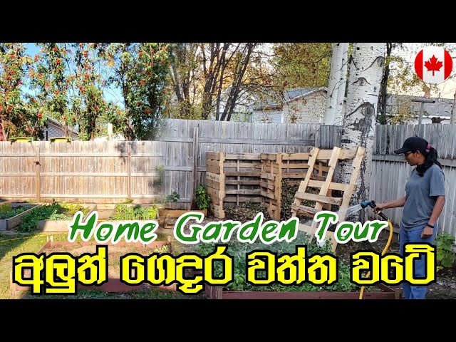 අලුත් ගෙදර වත්ත වටේ රවුමක් | Garden Tour 2024 | සිංහල Canada Sinhala Vlogs @SehaVlogs |Sinhala