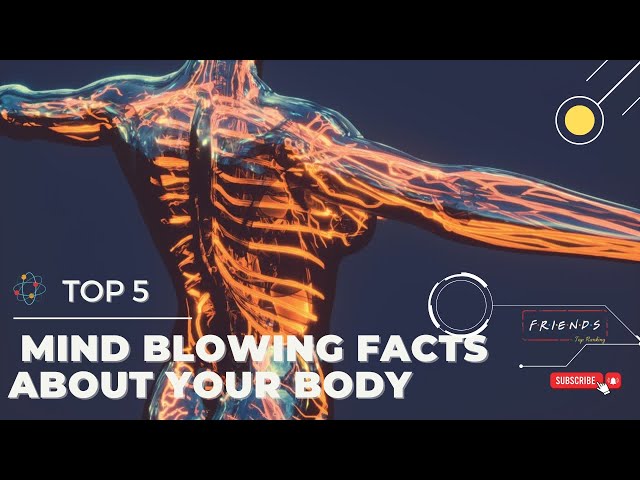 Top 5 Mind Blowing Facts About Your Body!